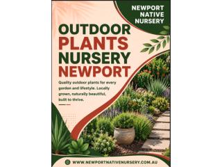 Outdoor Plants Nursery Newport – Quality Plants for Every Garden