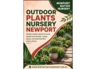 Outdoor Plants Nursery Newport – Quality Plants for Every Garden