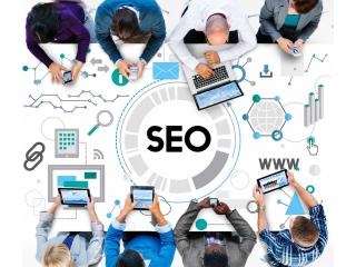 Best Local SEO Experts Calgary for Lead Generation and Growth