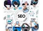 Best Local SEO Experts Calgary for Lead Generation and Growth
