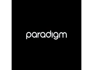 Rebar Detailing Services | Paradigm Reinforcement Detailing Experts - paradigm IT Pvt. Ltd.