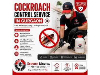 Cockroach Control Service in Gurgaon for Safe, Hygienic & Pest-Free Living