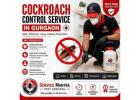 Cockroach Control Service in Gurgaon for Safe, Hygienic & Pest-Free Living
