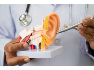 Latest ENT Treatment in Ahmedabad Available at Evara Hospital