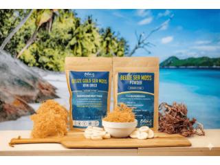 Is Sea Moss Good for You? Discover the Benefits | Belize Blue Nutrients