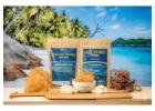 Is Sea Moss Good for You? Discover the Benefits | Belize Blue Nutrients