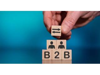 Is there any Best B2B Portal in India which can help new small businesses?