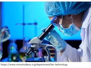 Graduate programs in biotechnology