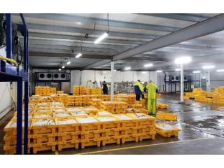 Need Reliable Chilled Storage for Your Business?