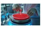 Premium Protein G Agarose Beads for Fast Immunoprecipitation Workflows