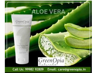Why Your Oily Skin Needs Aloe Vera in a Green Tea Face Wash - Greenopia