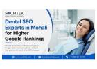 Dental Website SEO Experts in Mohali for Higher Google Rankings | Sochtek