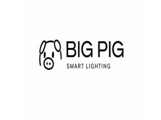 Best Permanent Outdoor Lights