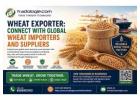 Wheat Exporter: Connect With Global Wheat Importers and Suppliers 