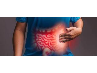 Expert Digestive Solutions with an Intestinal Problems Doctor Gujarat