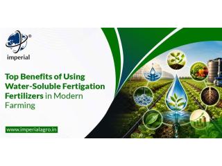 Fertigation fertilizers Supplier in Gujarat | imperialagro