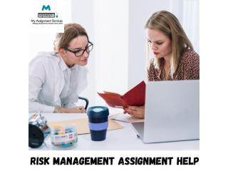 Risk Management Assignment Help for Students Expert Academic Support