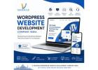 WordPress Website Development Company India | Visiogle