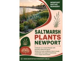 Saltmarsh Plants Newport: Best Coastal Plants for Your Garden
