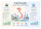 Vietnam Export Data by Import Globals | Trusted Trade Database
