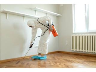 Reliable Timber Pest Inspections in Canberra – Book Today!