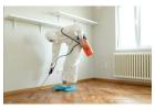 Reliable Timber Pest Inspections in Canberra – Book Today!