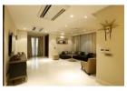 Modern Furniture Store in Delhi: Are Turnkey Contractors Cost-Effective?