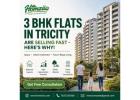 New 3 BHK Flats Added Daily on Homziio — Don't Miss Out