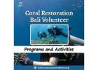 Coral Restoration Bali Volunteer Programs and Activities