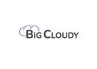 BigCloudy: Affordable Web Hosting in India