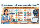 nios solved assignment pdf class 12 call@9582489391