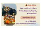 Kaal Sarp Dosh Puja In Trimbakeshwar, Nashik, Maharashtra