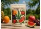 Reliable Cannabis Packaging Suppliers for Custom Brand Packaging