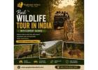 Best Wildlife Tour in India with Expert Guides