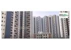 How many acres does the Amrapali Dream Valley Touchzone 4 project span