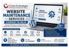 Professional Website Maintenance Services Company in Delhi for Secure Websites