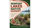 Newport Lakes Native Nursery – Quality Native Plants in Newport 