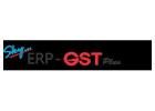 SkyERP GST Plus: Manage Inventory, Accounts & GST with Ease