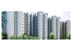 What is the total number of flats in Amrapali O2 Valley