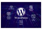 Professional WordPress Development Services by Vega Technologies LLC