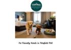 Pet Friendly Hotels in Pittsfield MA: Comfort for You and Your Furry Friend