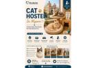 Cat Hostel