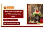 Kaal Sarp Dosh Puja In Trimbakeshwar Cost