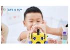 Stem Learning Toys for Interactive Learning at Home