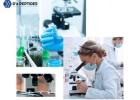 Grey Wonder Land Best Place to Buy Peptides Online
