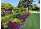 Gardening Sydney - Northern Beaches Garden & Trees