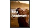 Strengthening The Bond: How To Ensure A Secure Attachment