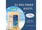 Buy Sea Moss for Immune System in Kittery: Belize Blue Nutrients