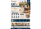 Cat Grooming