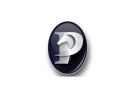 Precision Equine Solutions